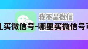 哪儿买微信号-哪里买微信号可靠