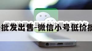 wx小号批发出售-微信小号低价批发平台