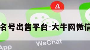 vx实名号出售平台-大牛网微信买卖