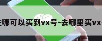 在哪可以买到vx号-去哪里买vx号