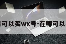 哪里可以买wx号-在哪可以买号